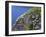 Newfoundland, Cape Saint Mary's Ecological Reserve-John Barger-Framed Photographic Print