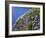 Newfoundland, Cape Saint Mary's Ecological Reserve-John Barger-Framed Photographic Print