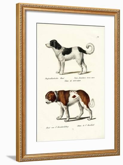 Newfoundland Dog, 1824-Karl Joseph Brodtmann-Framed Giclee Print