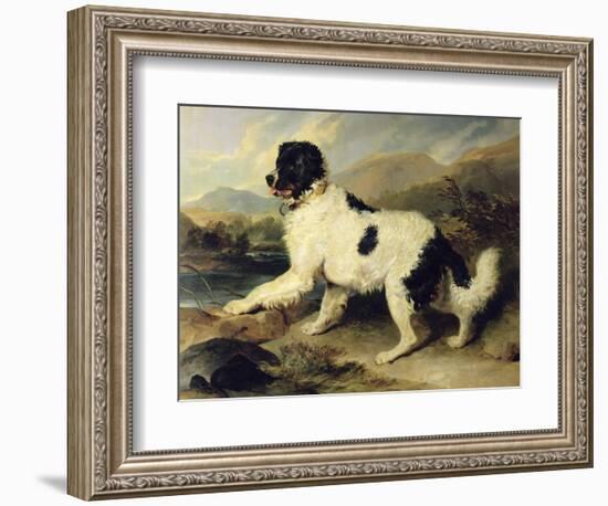 Newfoundland Dog Called Lion, 1824-Edwin Henry Landseer-Framed Giclee Print