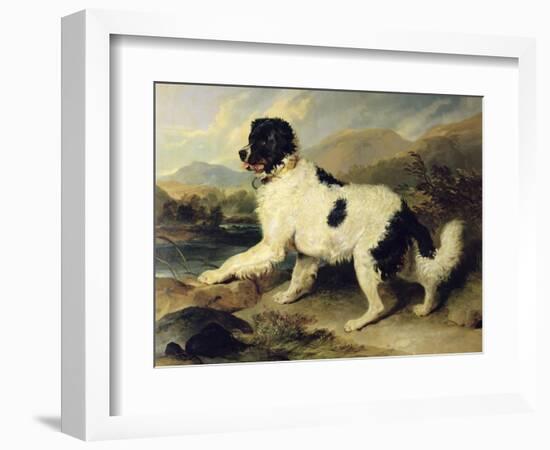 Newfoundland Dog Called Lion, 1824-Edwin Henry Landseer-Framed Giclee Print