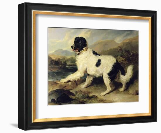 Newfoundland Dog Called Lion, 1824-Edwin Henry Landseer-Framed Giclee Print