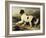 Newfoundland Dog Called Lion, 1824-Edwin Henry Landseer-Framed Giclee Print