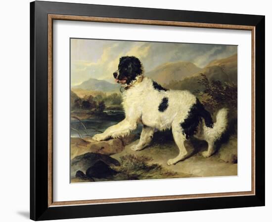 Newfoundland Dog Called Lion, 1824-Edwin Henry Landseer-Framed Giclee Print