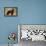 Newfoundland Dog-null-Framed Premier Image Canvas displayed on a wall