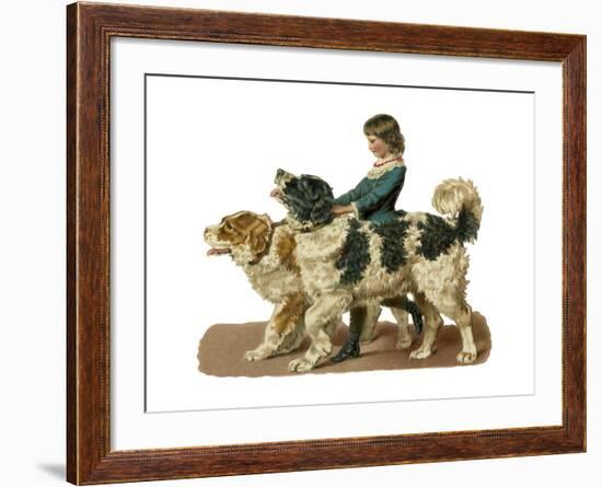 Newfoundland Scrap-null-Framed Giclee Print