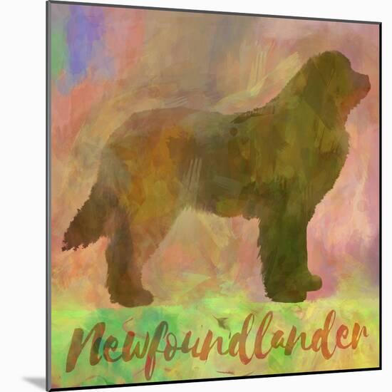 Newfoundlander Dog-Cora Niele-Mounted Giclee Print