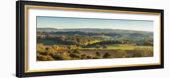 Newlands Corner, Guildford, North Downs, Surrey, England, UK-Jon Arnold-Framed Photographic Print