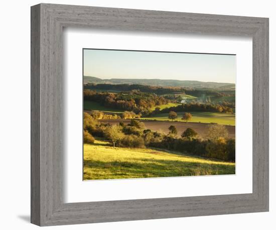 Newlands Corner, Guildford, North Downs, Surrey, England, UK-Jon Arnold-Framed Photographic Print