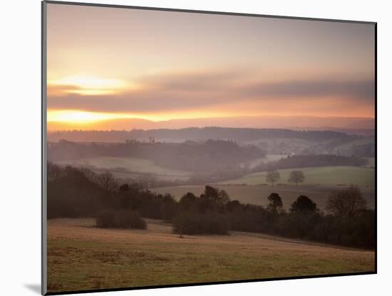 Newlands Corner View at Dawn, Near Guilford, Surrey Hills, North Downs, Surrey, England, United Kin-John Miller-Mounted Photographic Print