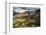 Newlands Valley and Causey Pike, Lake District, Cumbria, UK-Ross Hoddinott-Framed Photographic Print