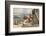 Newlyn, Cornwall C1910-EW Haslehust-Framed Photographic Print