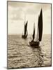 Newlyn Fishing Boats-null-Mounted Photographic Print