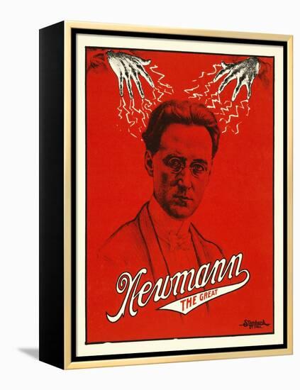 Newmann the Great-null-Framed Premier Image Canvas