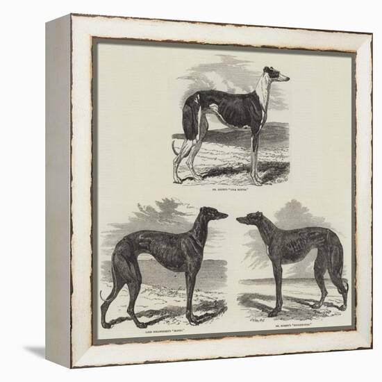 Newmarket Coursing Meeting-Harrison William Weir-Framed Premier Image Canvas