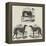 Newmarket Coursing Meeting-Harrison William Weir-Framed Premier Image Canvas