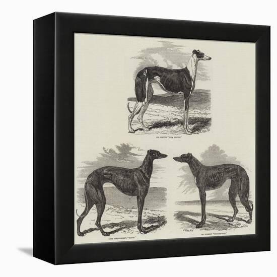 Newmarket Coursing Meeting-Harrison William Weir-Framed Premier Image Canvas