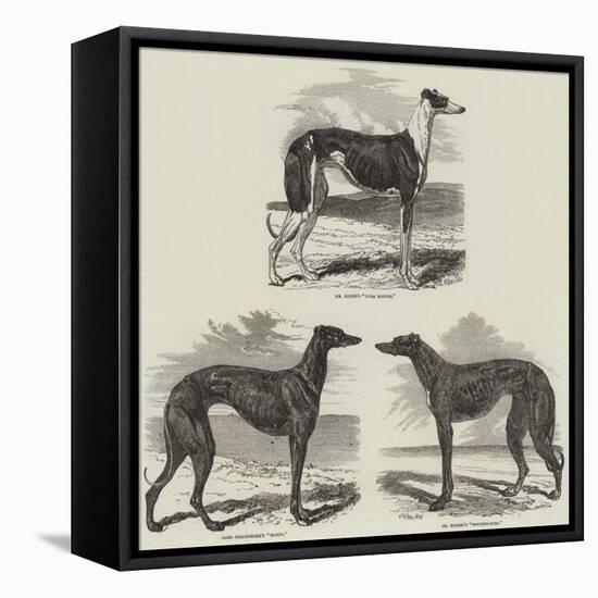 Newmarket Coursing Meeting-Harrison William Weir-Framed Premier Image Canvas