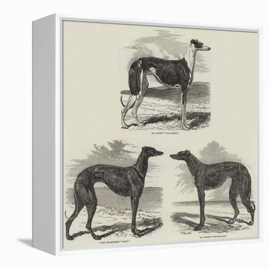 Newmarket Coursing Meeting-Harrison William Weir-Framed Premier Image Canvas