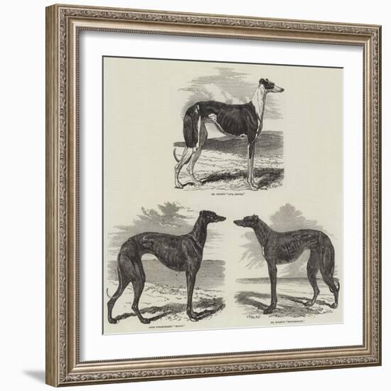 Newmarket Coursing Meeting-Harrison William Weir-Framed Giclee Print