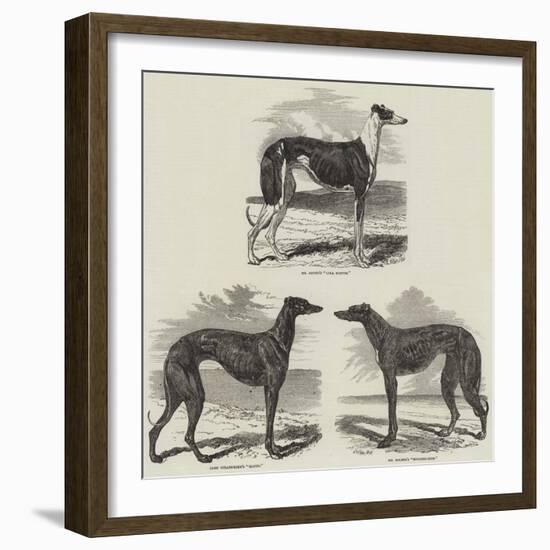 Newmarket Coursing Meeting-Harrison William Weir-Framed Giclee Print