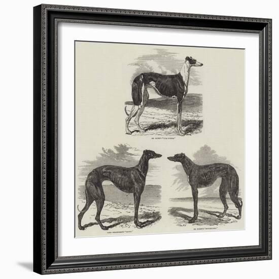 Newmarket Coursing Meeting-Harrison William Weir-Framed Giclee Print