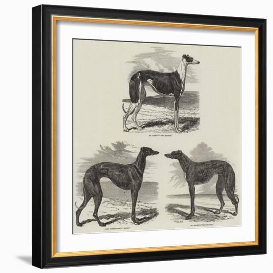 Newmarket Coursing Meeting-Harrison William Weir-Framed Giclee Print