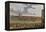 Newmarket Races, 1909-James Pollard-Framed Premier Image Canvas