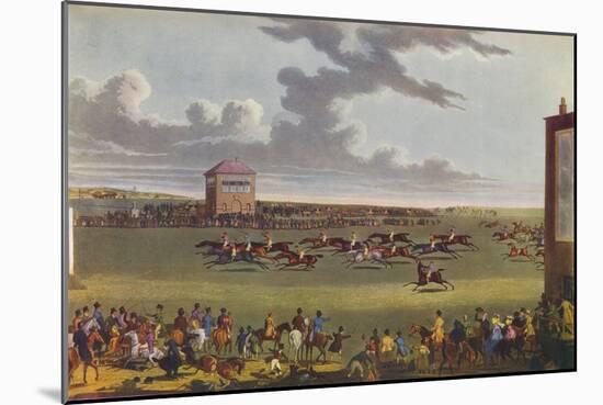 Newmarket Races, 1909-James Pollard-Mounted Giclee Print