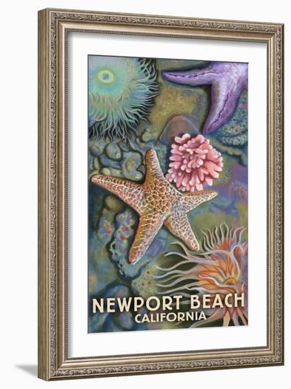 Newport Beach, California - Tidepools-Lantern Press-Framed Art Print