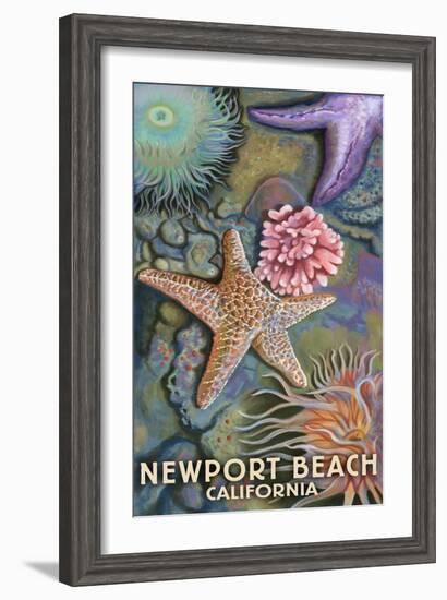 Newport Beach, California - Tidepools-Lantern Press-Framed Art Print