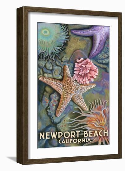 Newport Beach, California - Tidepools-Lantern Press-Framed Art Print