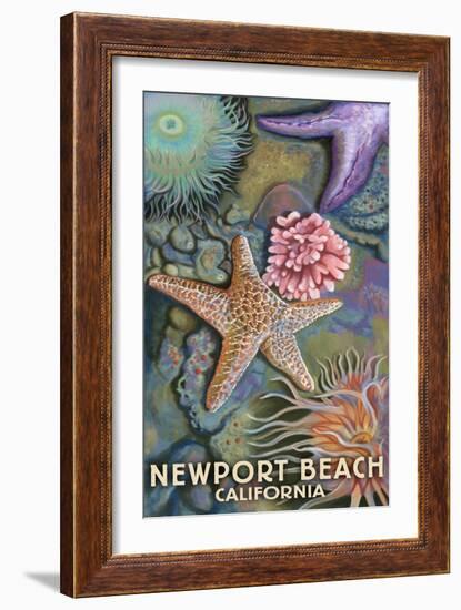 Newport Beach, California - Tidepools-Lantern Press-Framed Art Print