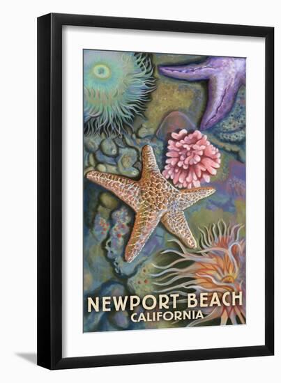 Newport Beach, California - Tidepools-Lantern Press-Framed Art Print