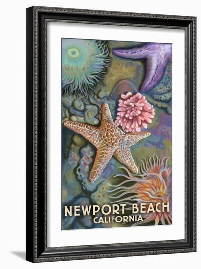 Newport Beach, California - Tidepools-Lantern Press-Framed Art Print