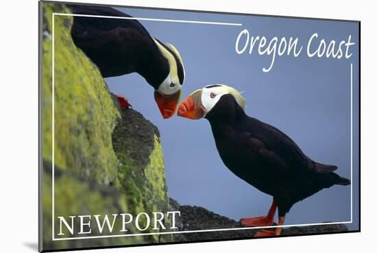 Newport, Oregon - Tufted Puffins - Lantern Press-Lantern Press-Mounted Art Print