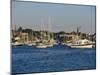 Newport, Rhode Island, USA-null-Mounted Photographic Print