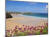 Newquay Beach with Valerian in Foreground, Cornwall, England, United Kingdom, Europe-Neale Clark-Mounted Photographic Print