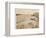 'Newquay from Porth', 1927-Unknown-Framed Photographic Print