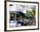 News Cafe on Ocean Drive, South Beach, Miami Beach, Florida, USA-Amanda Hall-Framed Photographic Print