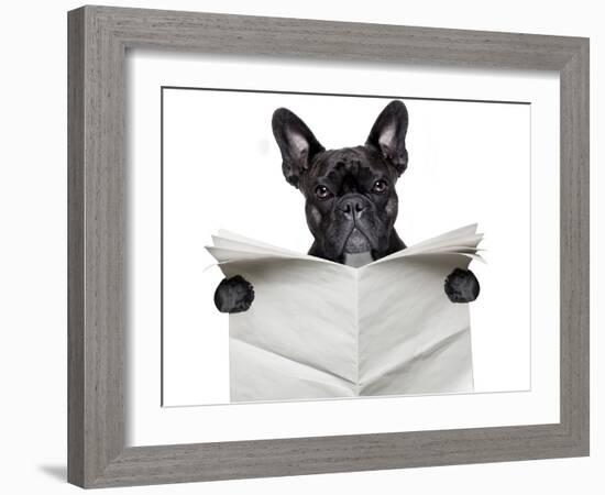 Newspaper Bulldog-Javier Brosch-Framed Photographic Print