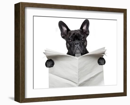 Newspaper Bulldog-Javier Brosch-Framed Photographic Print