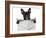 Newspaper Bulldog-Javier Brosch-Framed Photographic Print