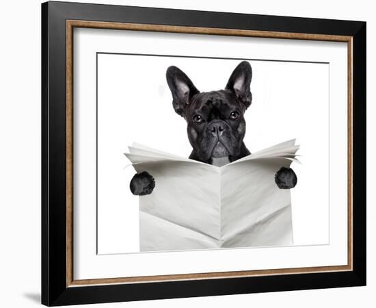 Newspaper Bulldog-Javier Brosch-Framed Photographic Print