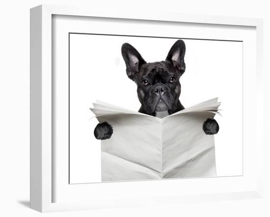 Newspaper Bulldog-Javier Brosch-Framed Photographic Print