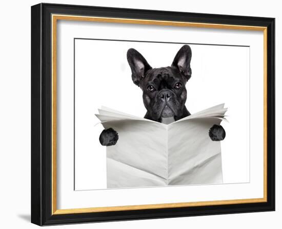 Newspaper Bulldog-Javier Brosch-Framed Photographic Print