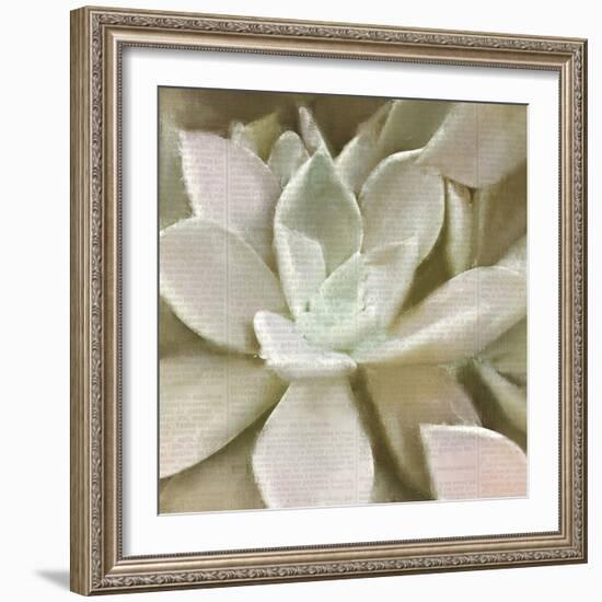 Newspaper Succulent 1-Kimberly Allen-Framed Photographic Print