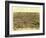 Newton, Iowa - Panoramic Map-Lantern Press-Framed Art Print