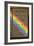 Newton's Opticks with Colour Spectrum-David Parker-Framed Photographic Print