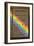 Newton's Opticks with Colour Spectrum-David Parker-Framed Photographic Print